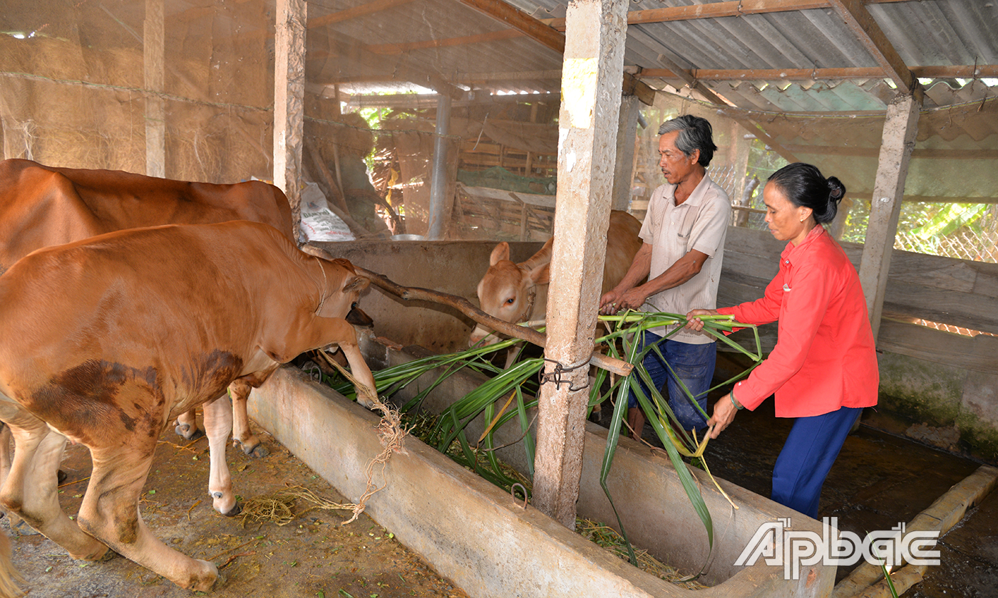 Nhờ cần cù lao động, vợ chồng chú Phú và cô Cúc  đã vươn lên thoát nghèo.