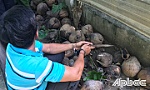 Bắt đối tượng tàng trữ, mua bán trái phép ma túy.