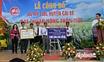 Mỹ Tân ra mắt xã đạt chuẩn nông thôn mới
