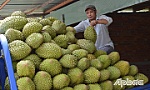 Cần khai thác hiệu quả nhãn hiệu 