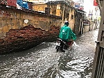 Miền Nam mưa xuống, lũ lên