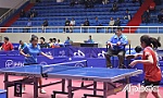 Hứa hẹn nhiều trận đấu hấp dẫn