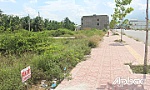 Bài 1: 