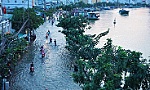 Thông tin TPHCM bị 