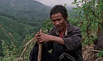 Vietnamese films shine at Singapore Media Festival