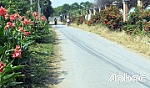 Xinh tươi, đổi mới xã ven đô