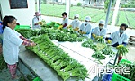 Bài cuối: Liên kết chặt để kiến tạo giá trị nông sản