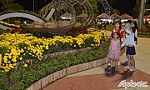 The flower road and Canh Ty spring flower market 2020 opned