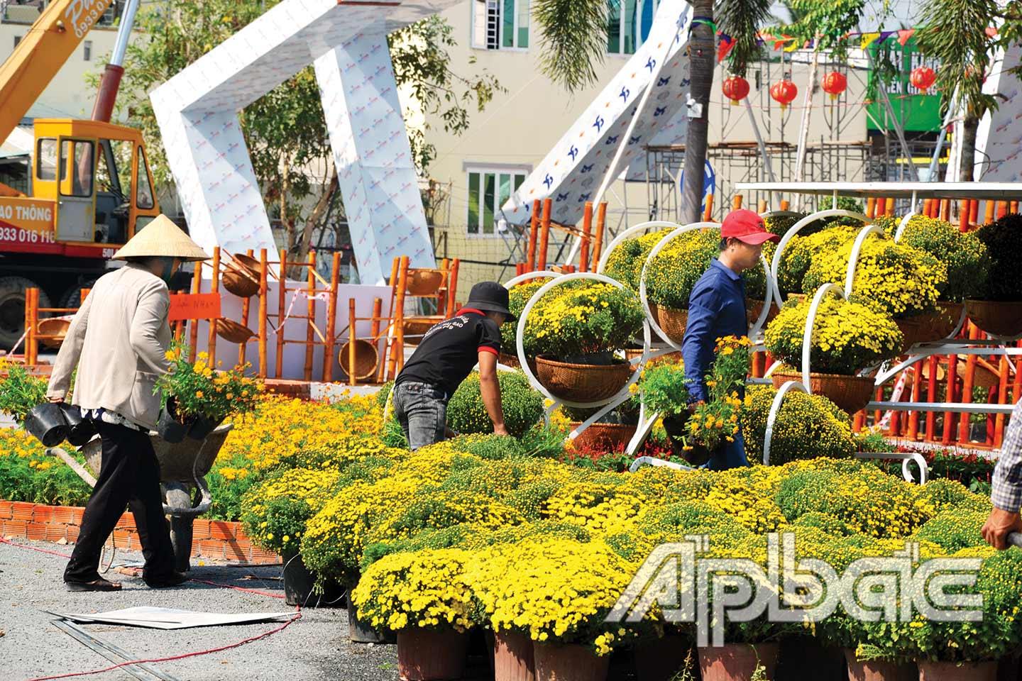 Sẵn sàng cho mùa xuân mới tại huyện Chợ Gạo.