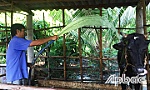 Vượt qua nỗi đau da cam