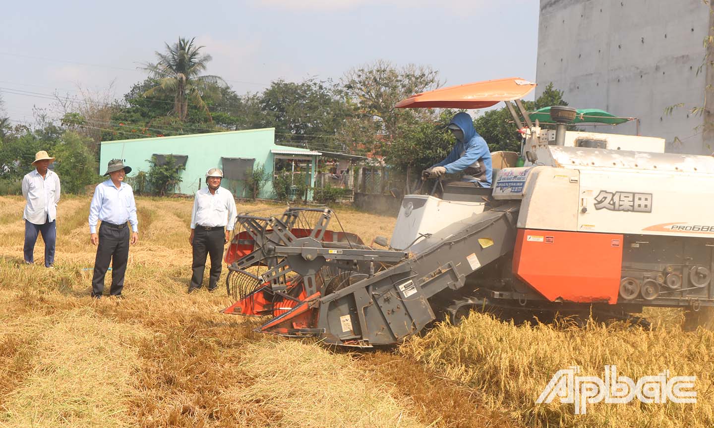 Đồng chí Lê Văn Hưởng (thứ 2 từ trái sang) khảo sát một trà lúa đang thu hoạch ở ấp Hiệp Trị, xã Bình Nghị, huyện Gò Công Đông.