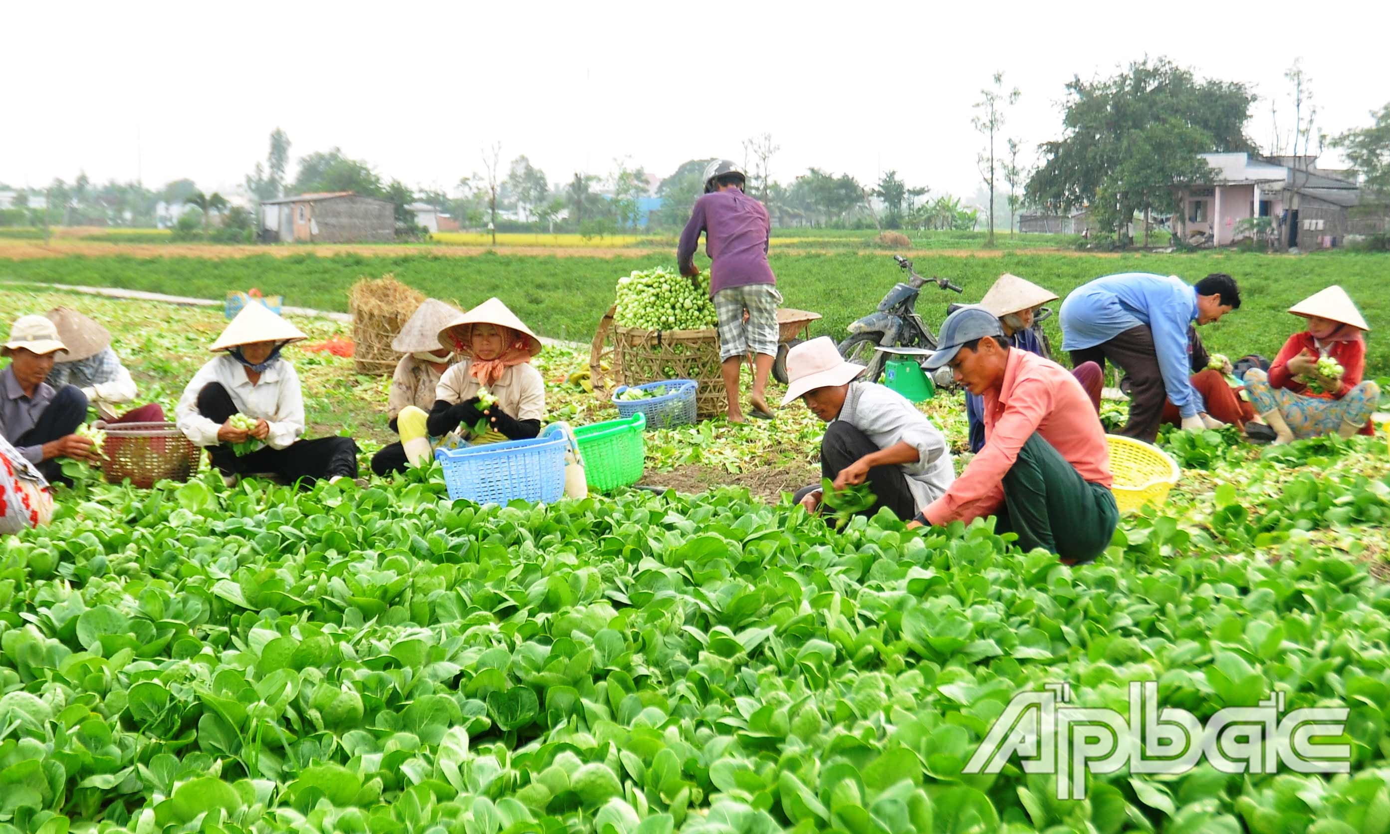 Ngày nay, đảm bảo bình đẳng thực chất giữa nam và nữ góp phần vào sự phát triển chung của xã hội. 	Ảnh: N. SỰ