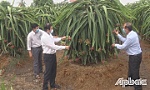 Lãnh đạo tỉnh khảo sát tình hình cấp nước miễn phí tưới cây ăn trái