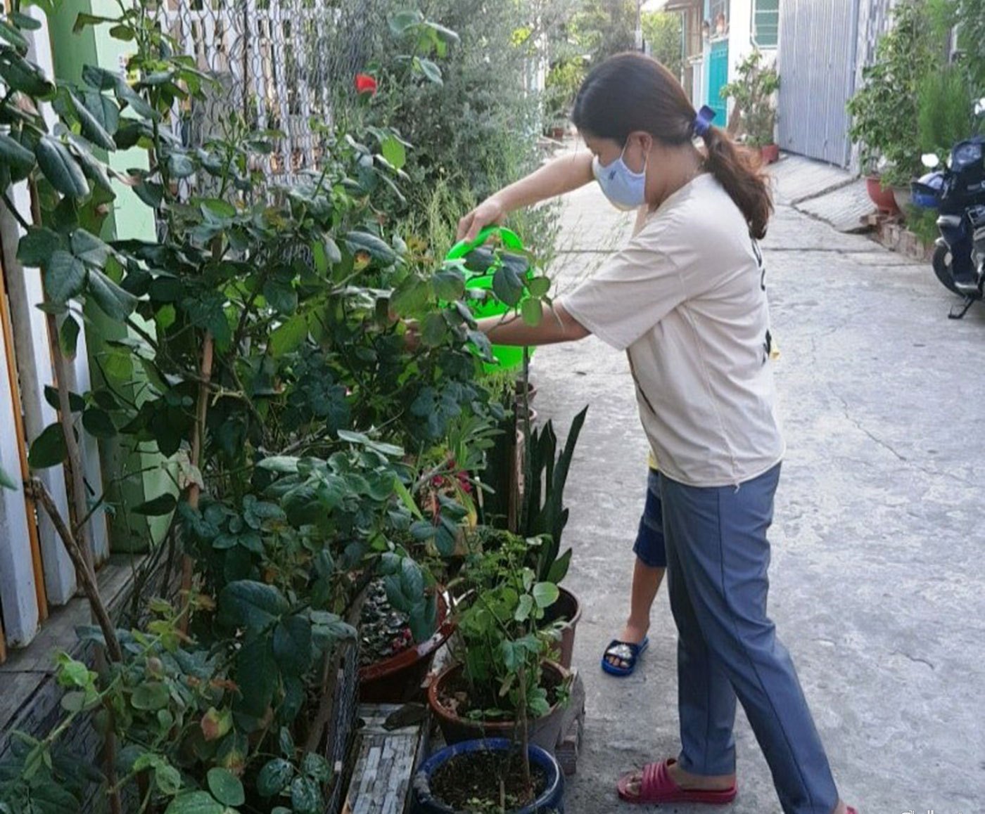 Trồng thêm hoa, cây xanh tạo không khí trong lành, mát mẻ cho gia đình
