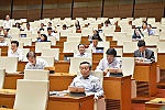 Cần khắc phục chồng chéo, bất hợp lý trong lĩnh vực đất đai