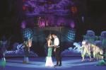 Circus performance to feature parrots for first time