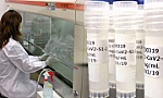 Nhật Bản thúc đẩy thử nghiệm lâm sàng vắcxin phòng COVID-19 trên người