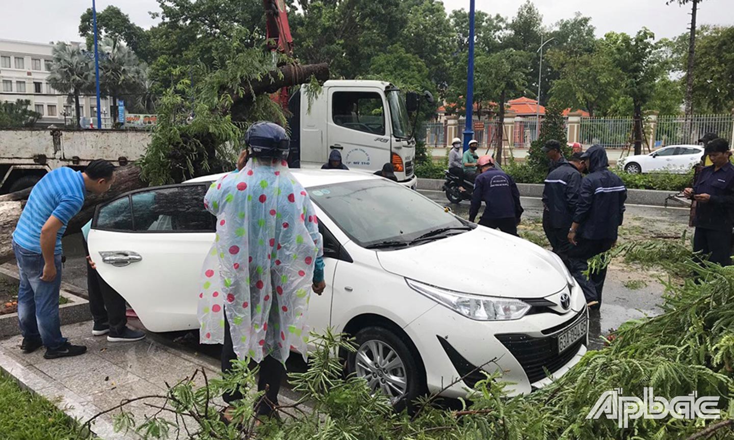Cây me đổ ngã làm hư hỏng xe ô tô 4 chỗ.
