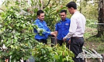 Cán bộ Đoàn tiêu biểu ở xã cù lao