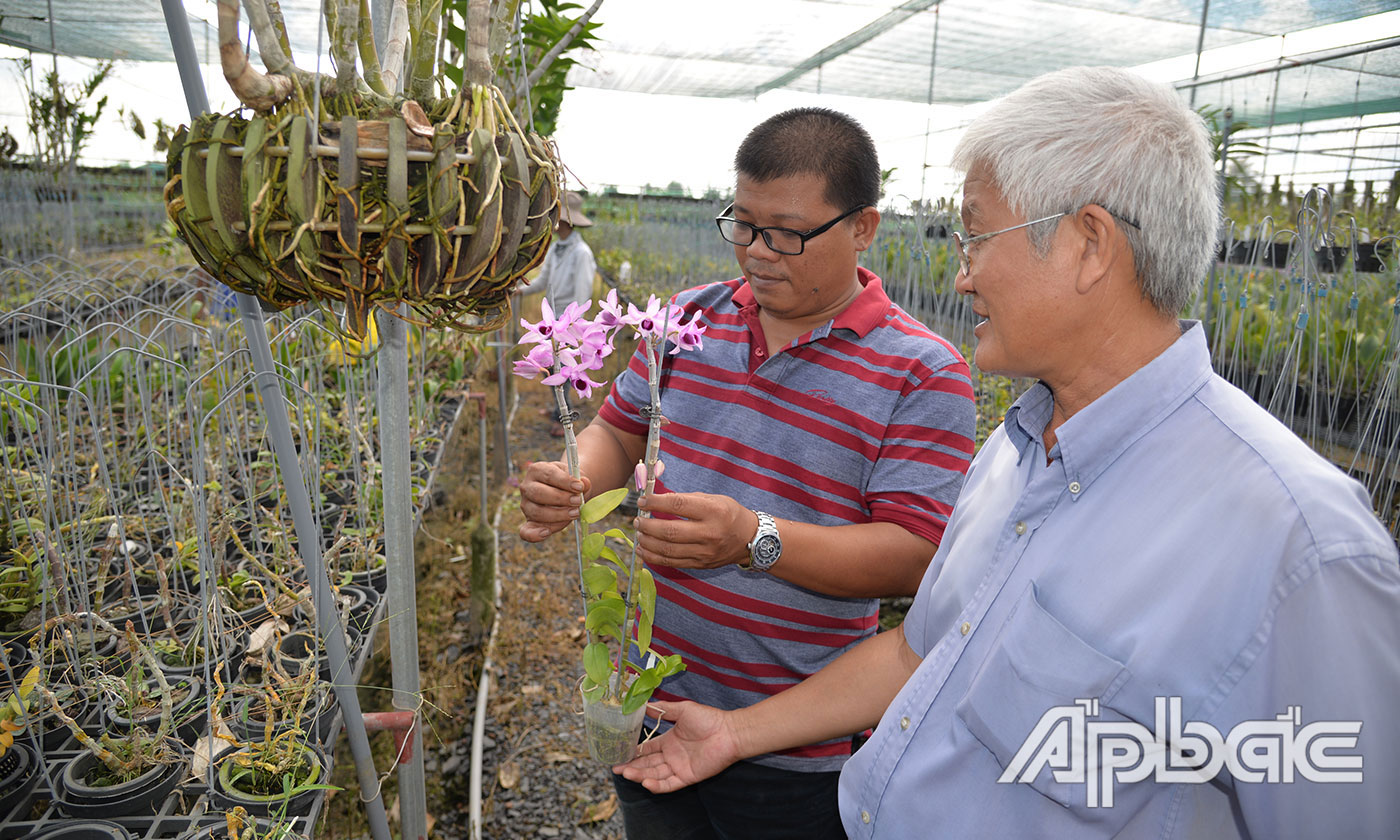 Anh Duy (bìa trái) trao đổi với lãnh đạo Hội sinh vật cảnh Tiền Giang tham quan tại vườn lan