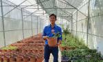 Khởi nghiệp thành công với cây sâm