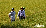 Khảo sát các mô hình sản xuất nông nghiệp hiệu quả