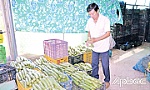 Điểm sáng trong phát triển kinh tế tập thể