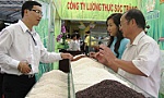 Đường dài của gạo Việt