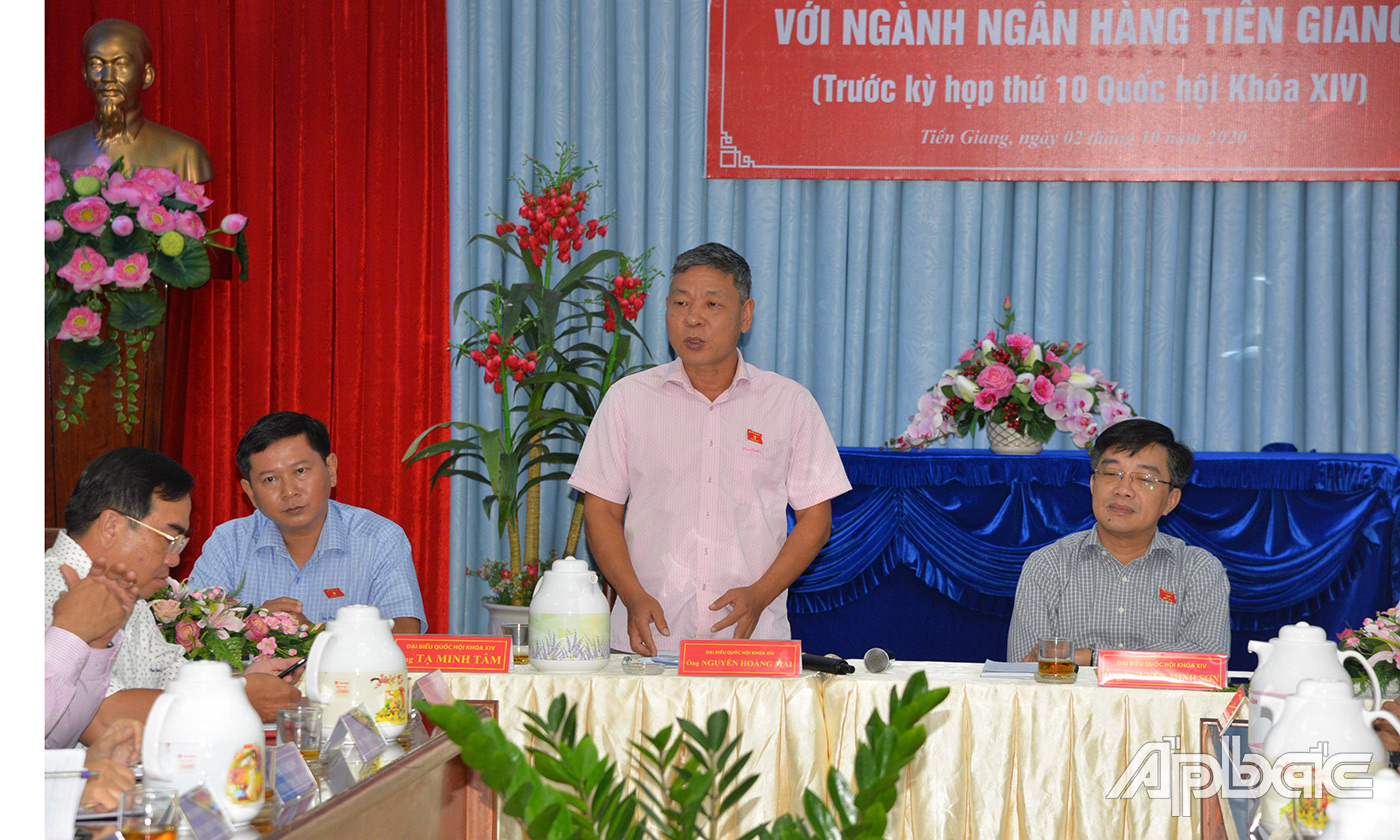 đại biểu Nguyễn Hoàng Mai