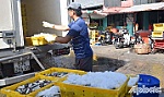 Đêm ở Cảng cá Mỹ Tho