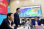 Không chủ quan với bão số 10