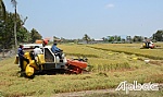 Ngành Nông nghiệp bước tiếp chặng đường mới