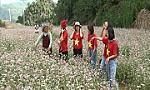 Du lịch nội địa đã góp phần phục hồi du lịch Việt Nam