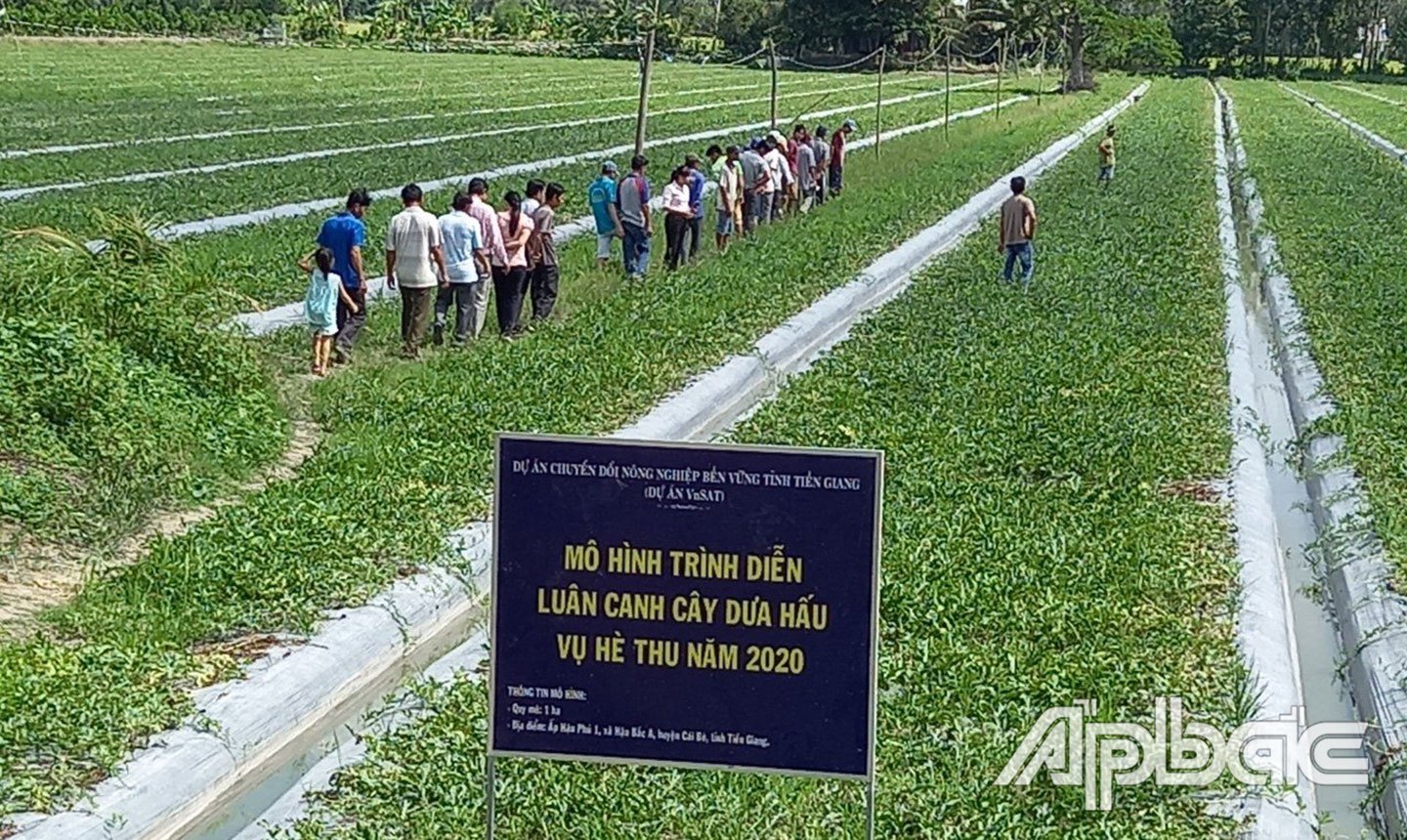 Nhiều nông dân được hưởng lợi từ Dự án VnSAT.