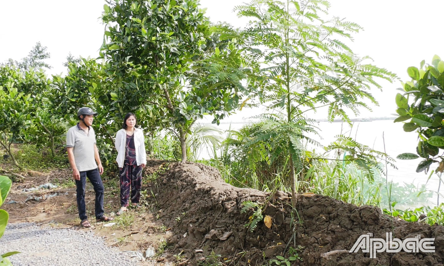 Chị Phạm Thị Loan (ấp Tân Thiện, xã Tân Phong) đã chủ động bồi đắp  tuyến đê bao cặp sông Tiền, bảo vệ vườn cây đang cho thu hoạch.