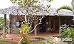 Về thăm ngôi nhà in đậm dấu ấn Bác Tôn