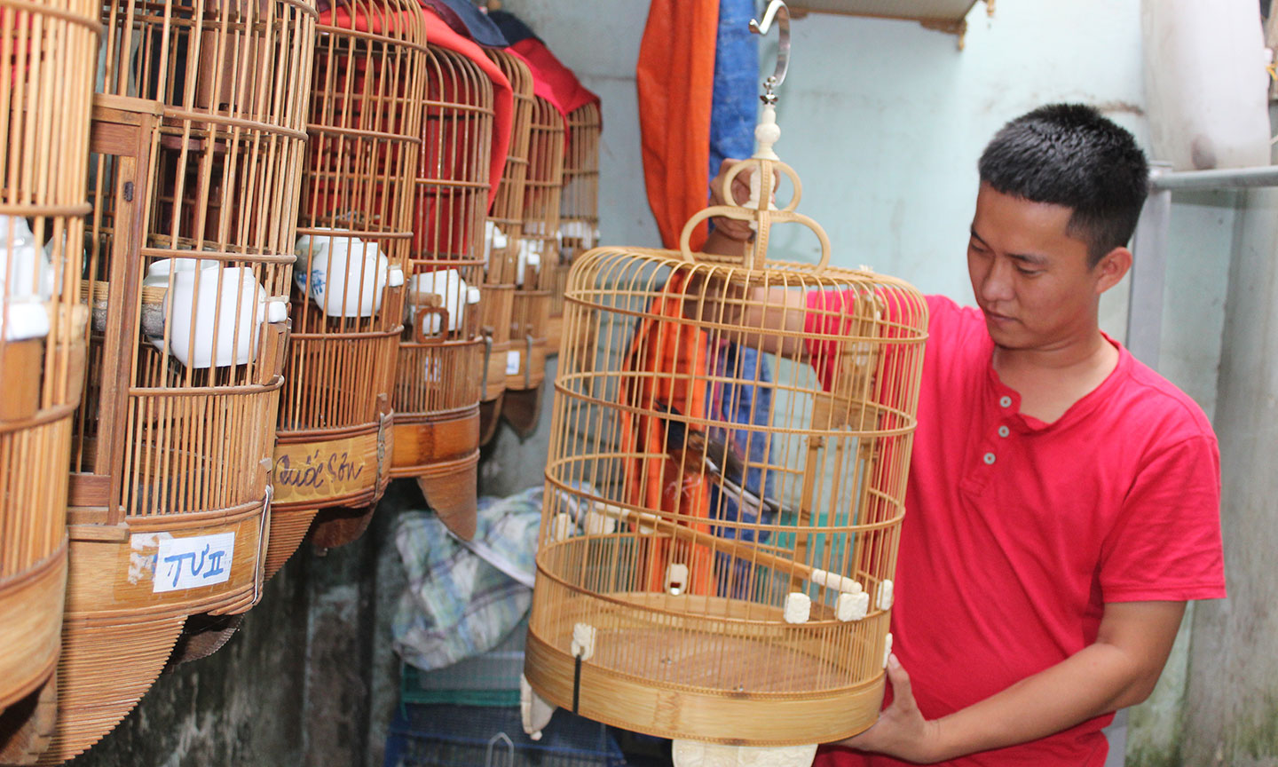 Phong trào nuôi chim cảnh đang phát triển mọi nơi.