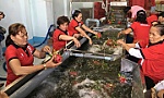 Nông sản Việt Nam xuất khẩu tăng mạnh nhờ tiếp cận thị trường 2,2 tỷ người