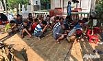 Triệt phá trường gà, tạm giữ gần nửa tỷ đồng