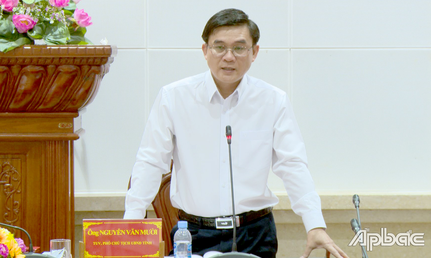 ồng chí Nguyễn Văn Mười, Phó Chủ tịch UBND tỉnh phát biểu