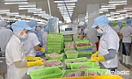 Mở rộng giao thương, nâng cao vị thế