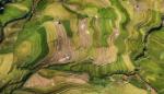 Vietnamese photographer wins top prize at int'l contest in India