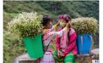 Photo set highlights people in Ha Giang developing sustainable economy, combatting COVID-19 effectively