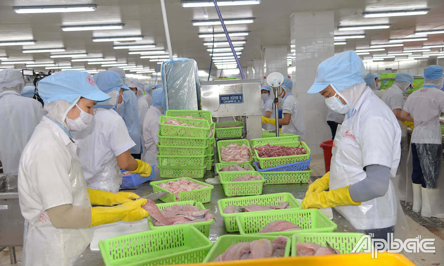 Hội nhập kinh tế giúp kim ngạch xuất khẩu của Tiền Giang tăng nhanh.