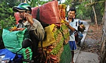 Nông nghiệp đúng hướng 