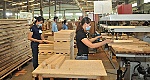 Xuất khẩu đang ấm lên