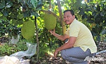 Chuyện làm giàu của 2 nông dân huyện Cai Lậy