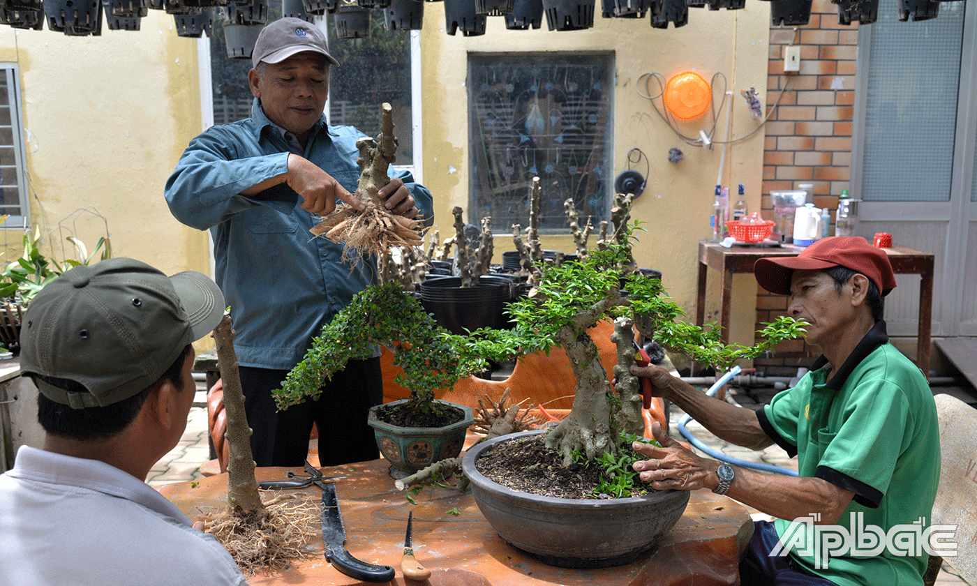 Ông Nguyễn Văn Diệp, phường 10, TP. Mỹ Tho, một người đam mê và tâm huyết với cây kiểng.