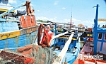 Mưu sinh ở vùng biển Gò Công