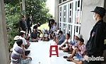 Triệt phá tụ điểm đá gà giữa cánh đồng lúa